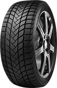 Delinte WD6 225/50 R17 98 H