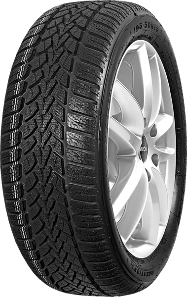 Dunlop SP Winter Response 2 195/65 R15 91 T