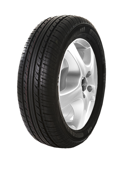 Fortune FSR801 205/55 R16 91 H