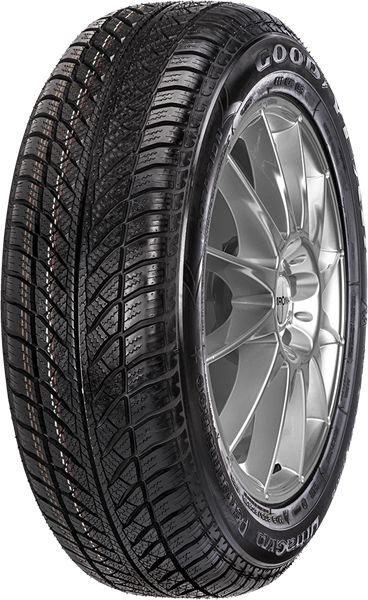 Goodyear UG Performance 2 205/55 R16 91 H RUN ON FLAT *, MFS