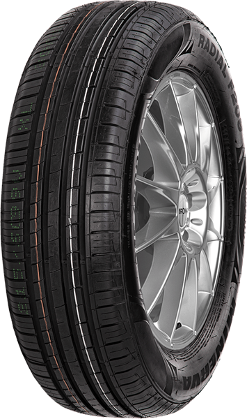 Minerva F209 205/50 R16 87 W