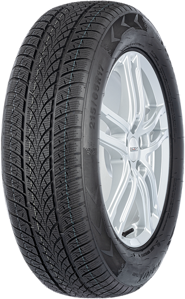 Triangle Winter X TW401 225/50 R17 98 V XL