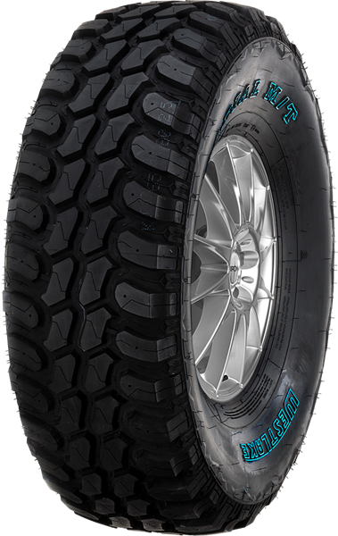 West Lake SL366 MT 315/75 R16 127 Q POR