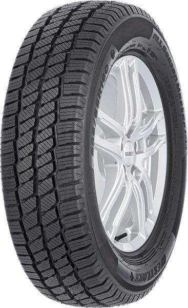 West Lake SW613 4S 205/75 R16 110/108 Q C