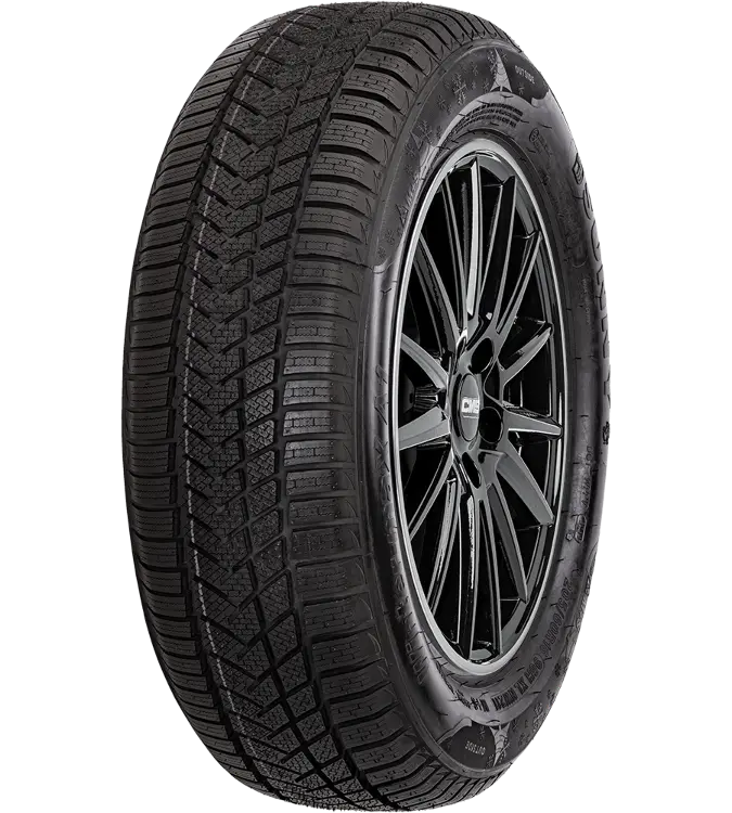 Sunny Wintermaxx NW211 205/55 R17 95 V XL