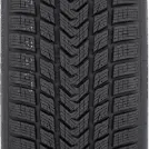 GRIPMAX SureGrip ProWinter 275/30 R19 96 V XL - Fotominiatuur 2