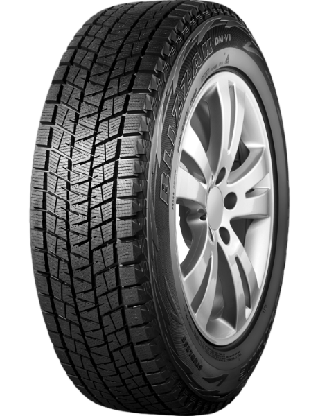 Bridgestone Blizzak DM-V1